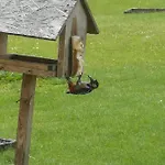 Siedlisko Waliszowka Bystrzyca Kłodzka