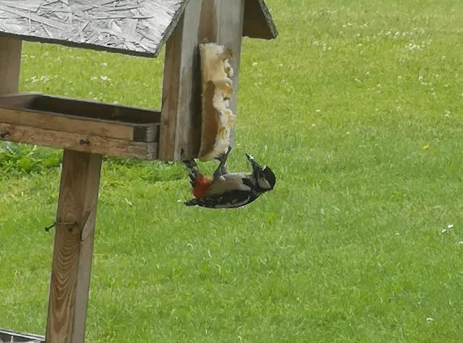 Siedlisko Waliszowka Bystrzyca Kłodzka